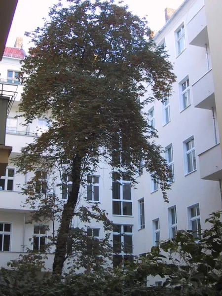 Prenzlauer Berg - 2 Zimmer Wohnung mit Balkon — photo 1
